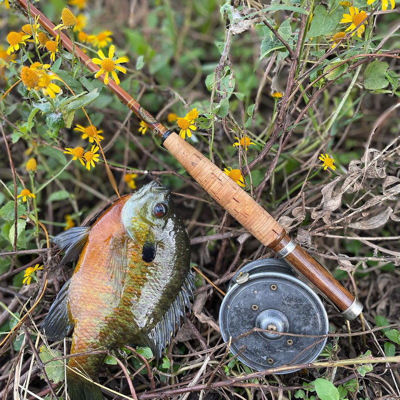 807D6B52-6671-433E-88C4-A8B554F0E61B