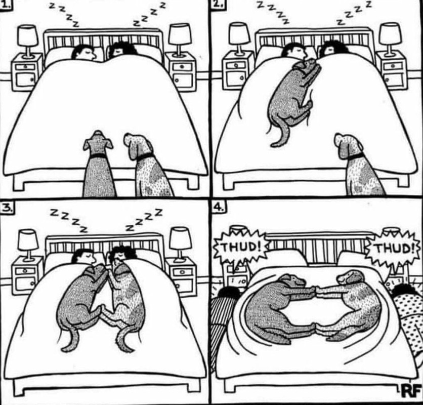 1A148178-5EA9-414A-83C4-7CF7B79D5F59