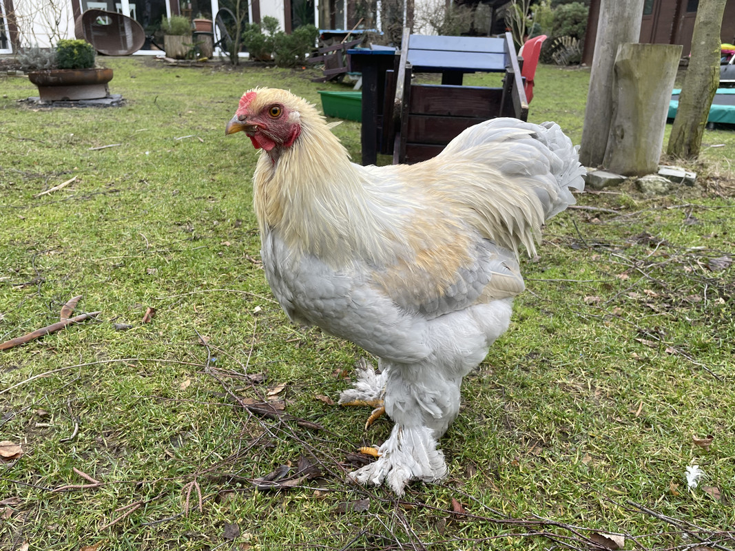 4FF84557-0053-49A9-8474-30B4574EC0D3