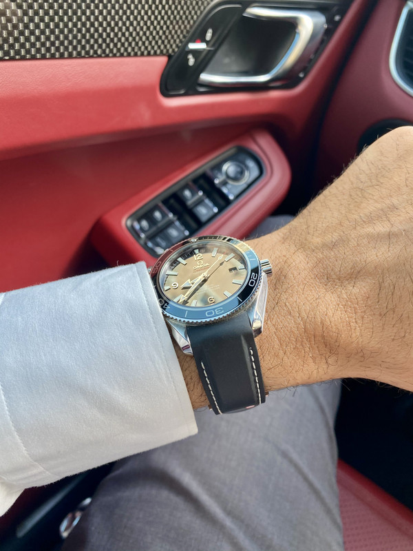 0E88FC8B-5007-472A-977E-6B19FE25456A