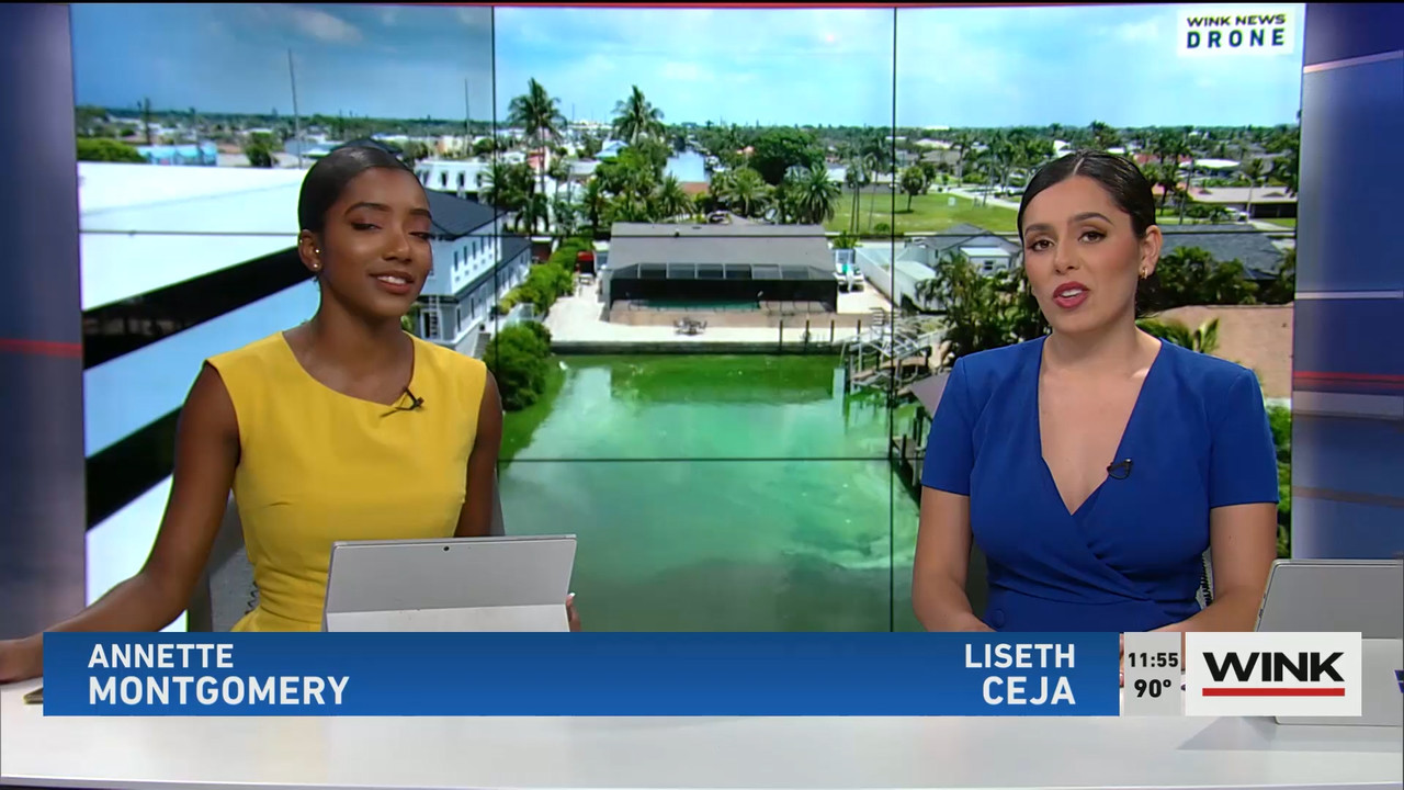 07.23 - 16.30.00 - WINK NEWS at 11 30am. Midday news..ts_snapshot_31.35.341