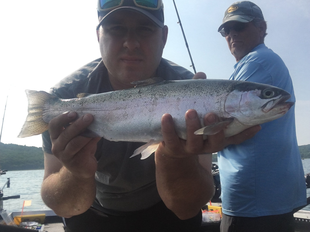 BC7E707A-8F01-4A0D-AAFF-E3CEA1B11259