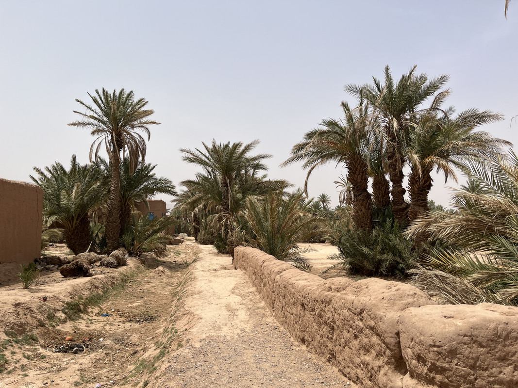 El palmeral de los Katawa : Tagounite - El Valle del Drâa, la gran arteria del sur de Marruecos (15)