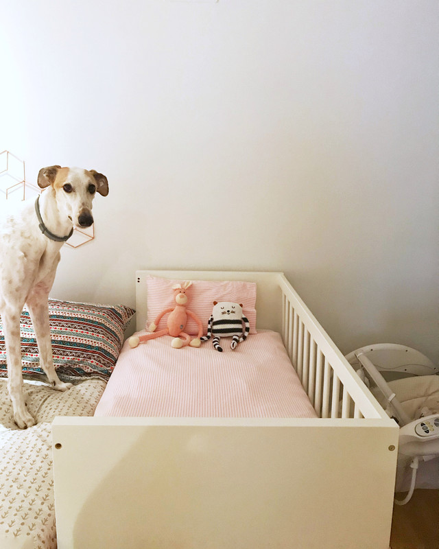 6CFAE084-44B5-4863-BBC4-310FBD5B923D