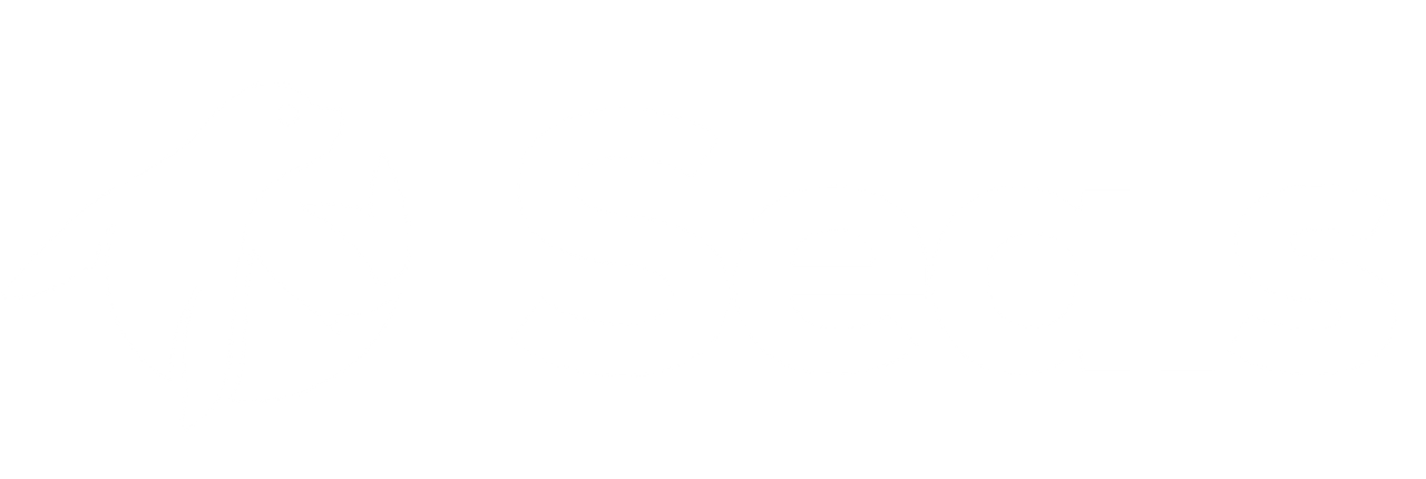 Seals.lk Logo