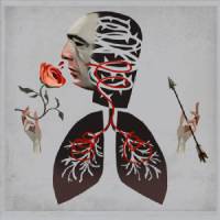 VOWS by Hot Water Music
