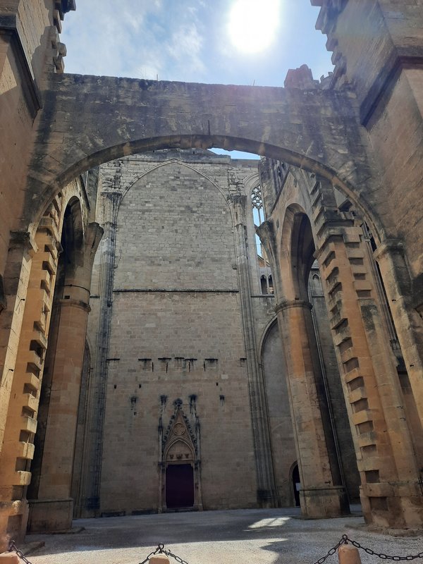 Dia 9 y 10. Toulouse. Narbona - Occitania: 9 días recorriendo los pueblos más emblemáticos. (9)