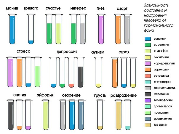 NeuroChemy 1 5DRmssIReTY