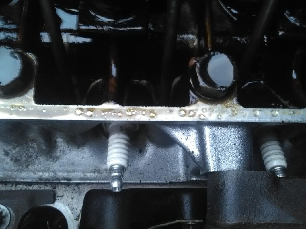 IMG_20161012_184115[1]