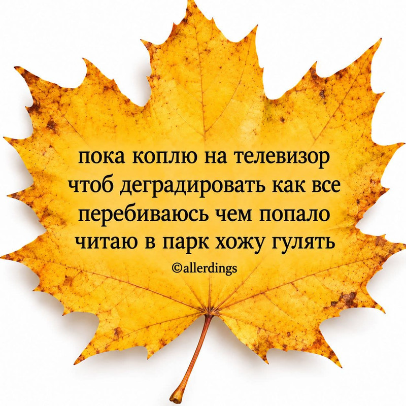 FB IMG 1790932201495