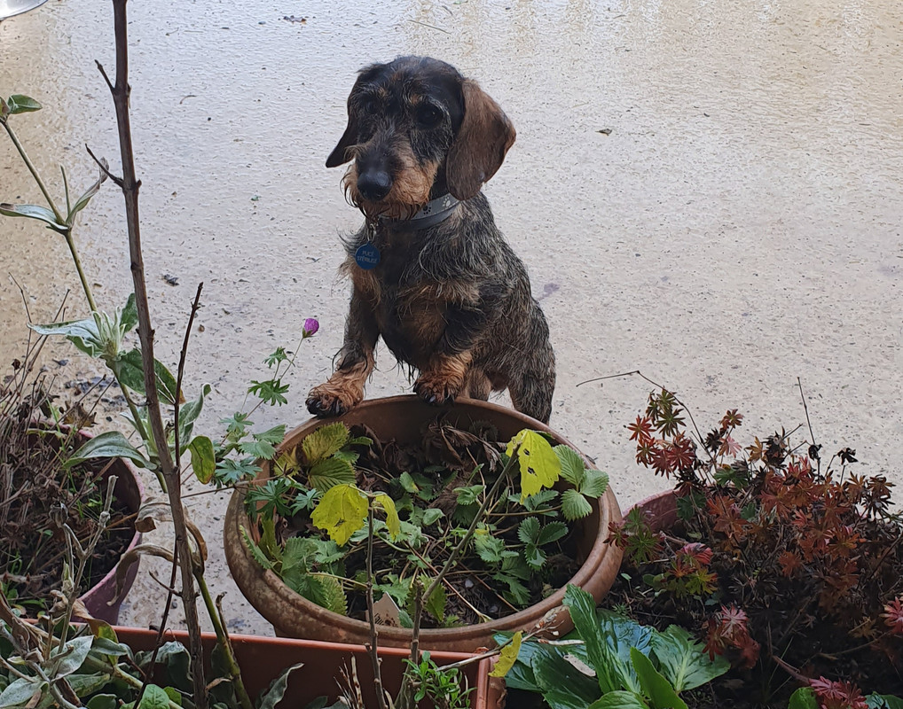 [Image: 20221125-160033.jpg]