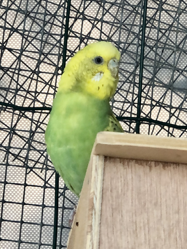 6DC0091D-4282-4B45-B95C-F317028C5892