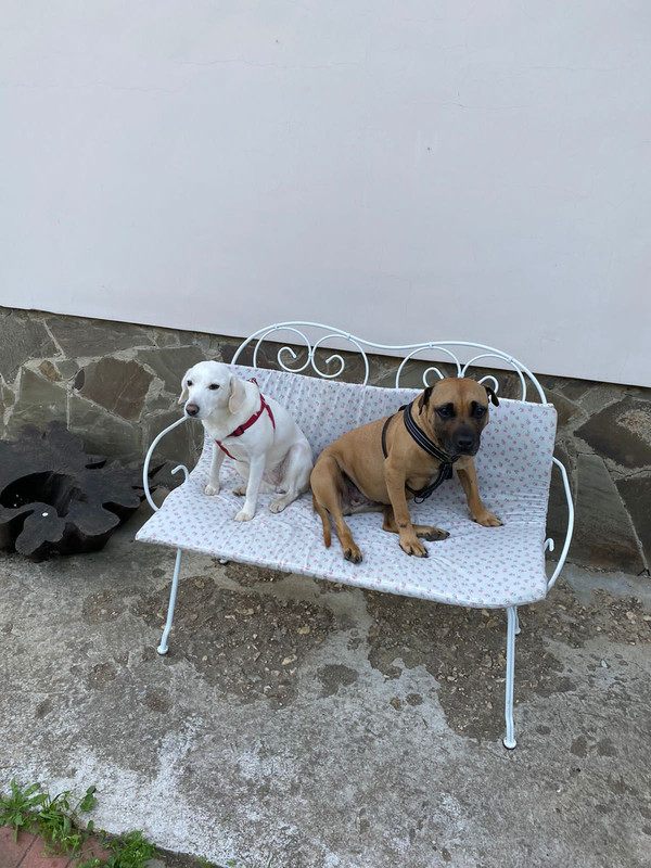 75D327F5-ADBD-4406-9136-0978953295C9