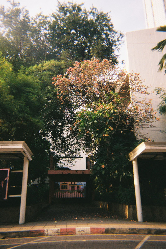 Kodak-Gold-47-resized