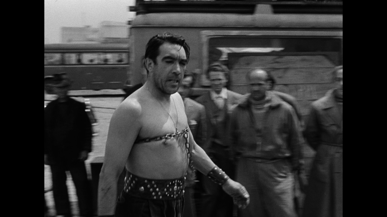 vlcsnap-2024-01-15-18h43m24s872