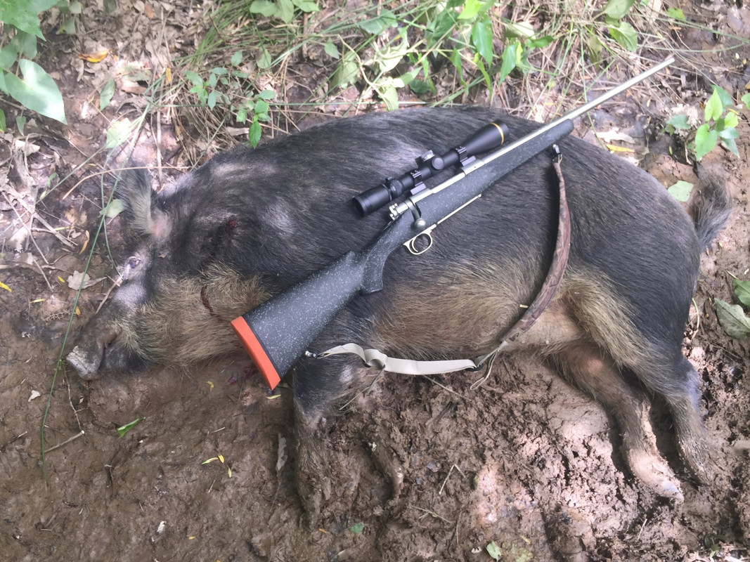 A64BBD15-EB19-469E-B79A-FD63122417A2