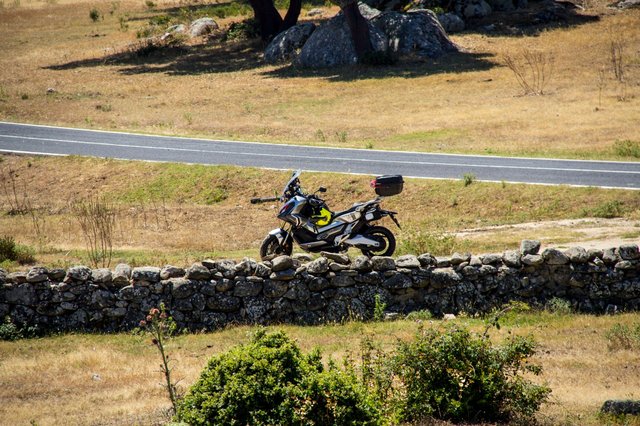 WhatsApp Image 2020-07-09 at 17.53.36 (4)