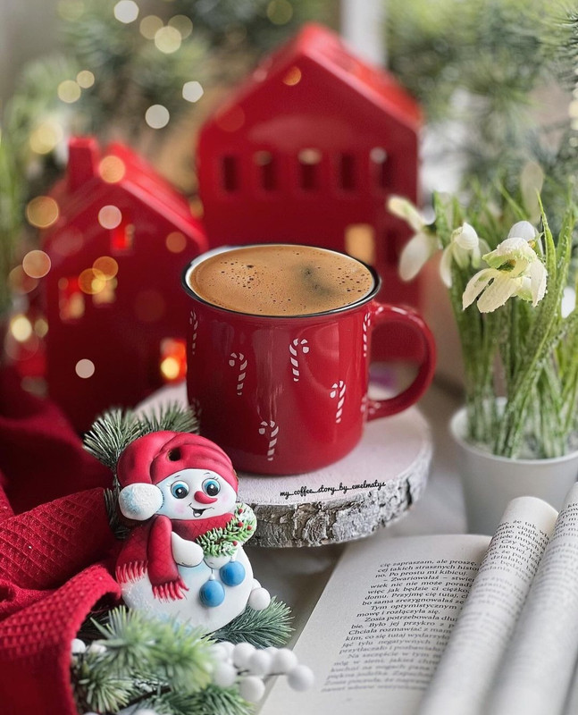 Screenshot_20231210_182723_Instagram