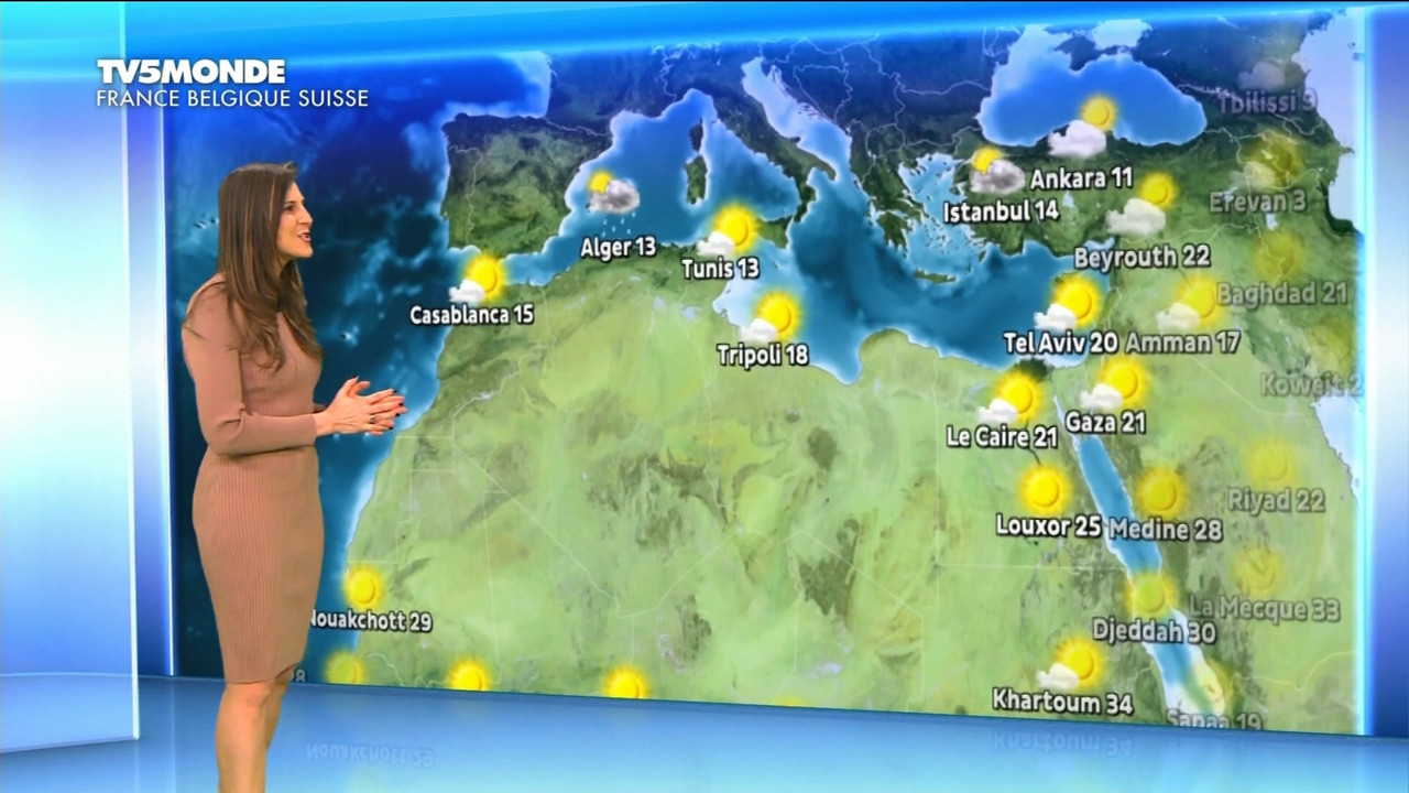 01.02 - 17.26.00 - Météo. Le bulletin météorologique international.ts_snapshot_08.20.222