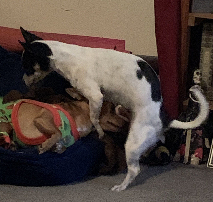 96DAC515-0B9D-40A8-957A-3174A1AC2DBE