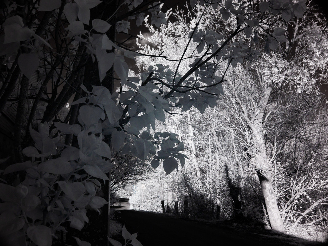 0069 2025 05 08 DSC01316 — Postimages