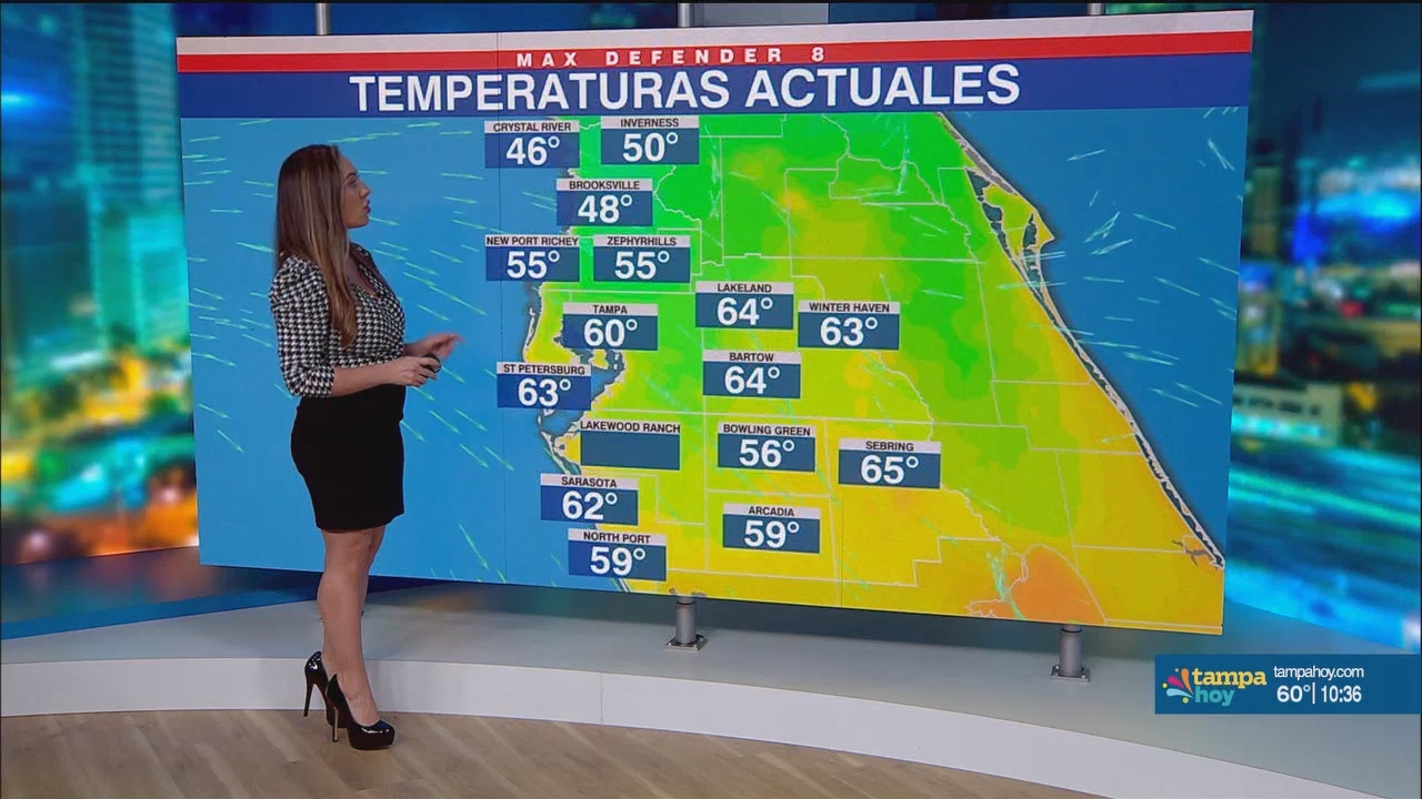 Noticias Tampa Hoy_20250301_03300400.ts_snapshot_07.28.515
