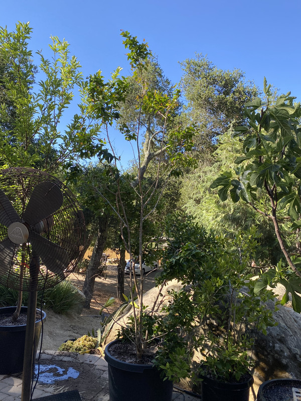 9BFA91B4-CA5E-4303-871A-7119AD06D7B0