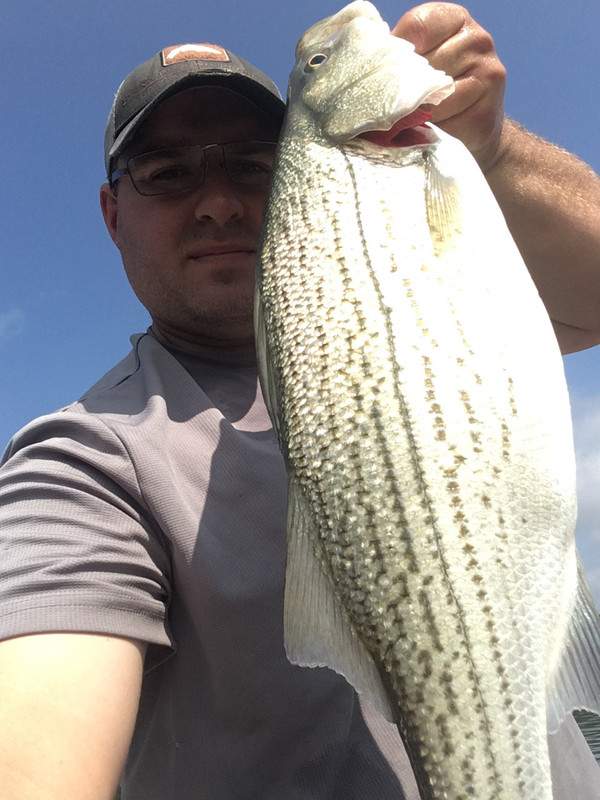 8DF2EF3B-6139-448C-9815-953795D5102E