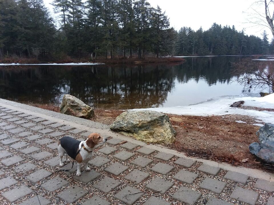 Resized_20190330_093515