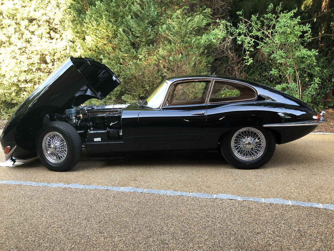 EC9A7854-FA1F-4EAF-A297-F0B901C220B7