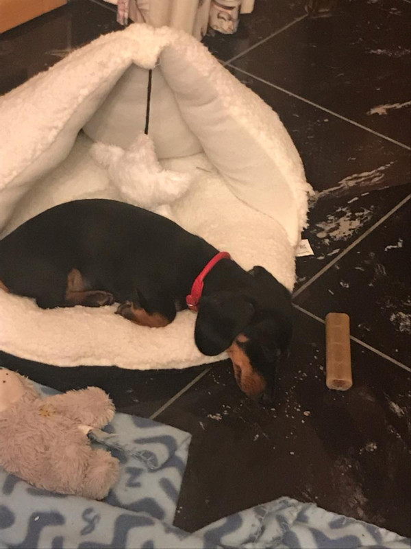 [Image: IMG-3423.jpg]