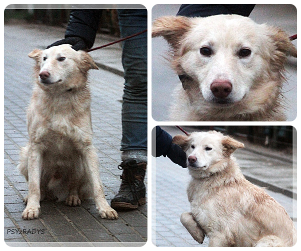 BeFunky-collage (15)