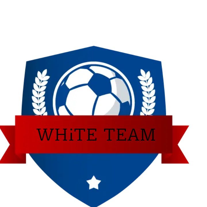 logo_1760883494206_1 (5)