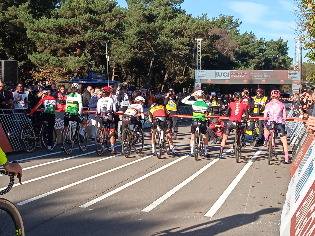 33A18D7C-10E3-4432-8333-F234795796C5