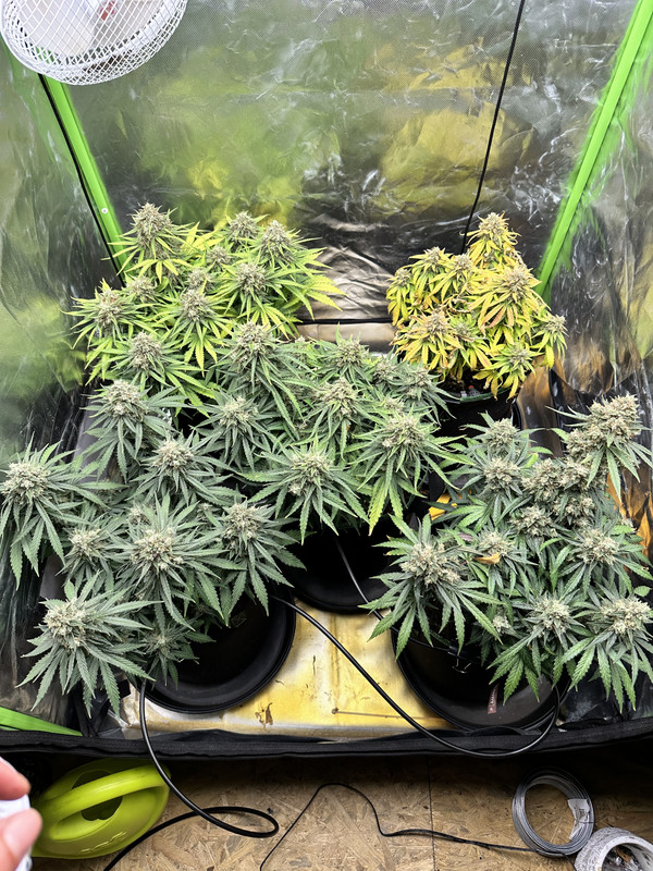 06D35F8F-55FC-4773-9350-92C3531F9C40