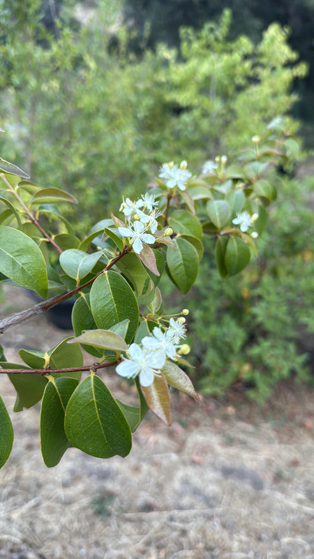 BCAC176C-A414-4365-9C27-5F7B9E9D9CAA