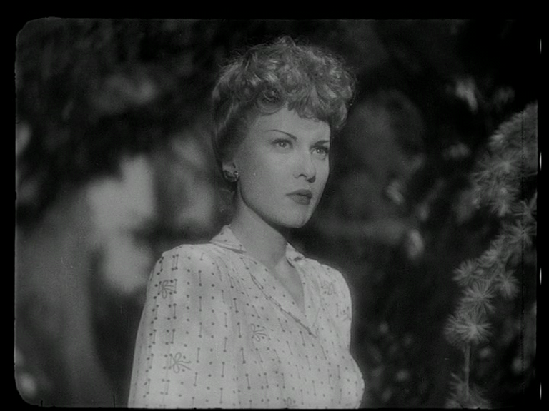 vlcsnap-2018-05-29-11h41m23s120