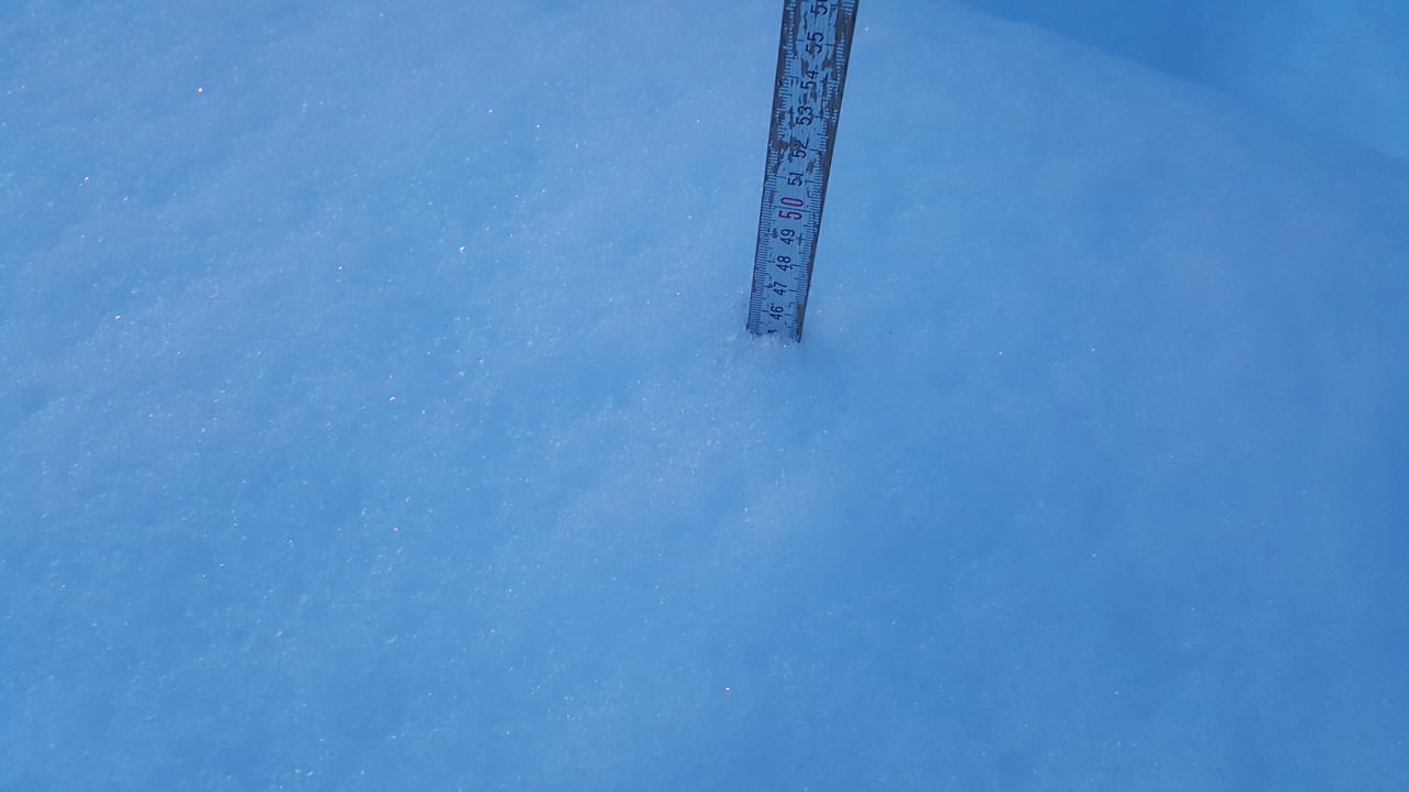 20190204_071712