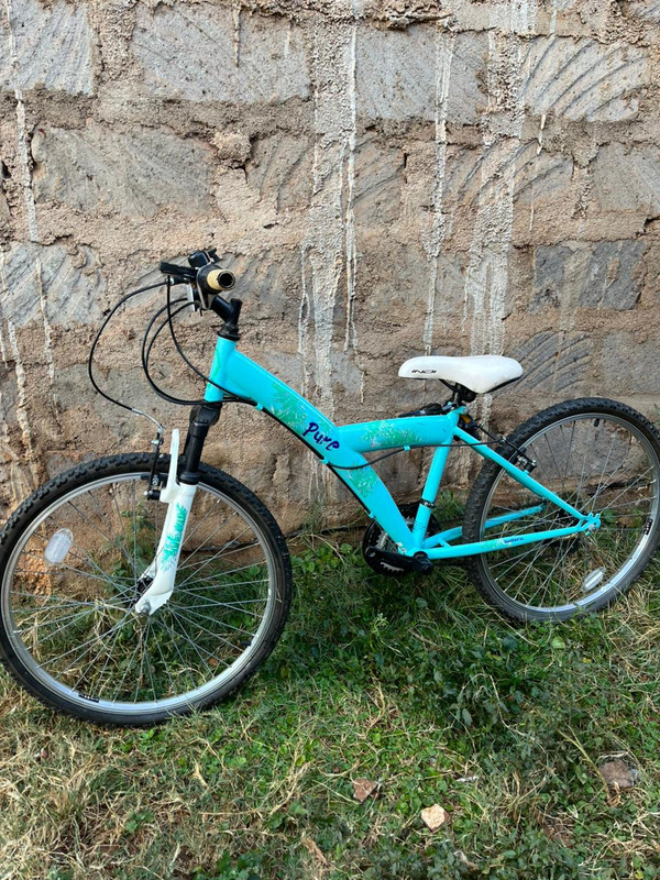 24"Indi Pure