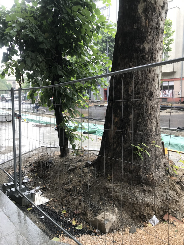 74E776E9-FE35-4FE0-AA43-747D1E3F05AE