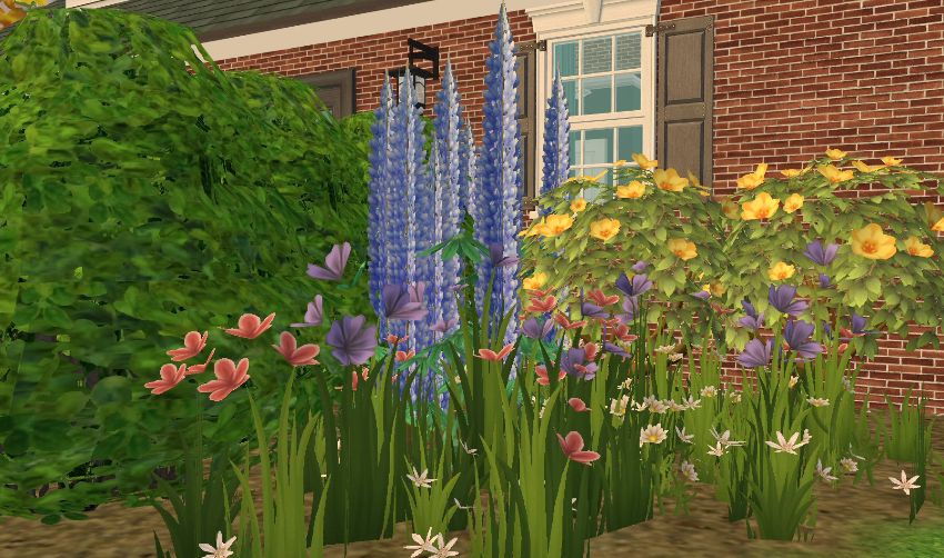 Sims2-EP9-2021-01-30-09-52-40-88