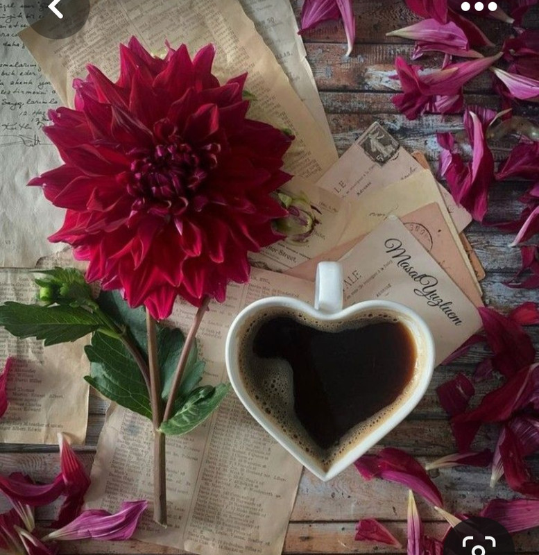 Screenshot_20230517_003734_Pinterest