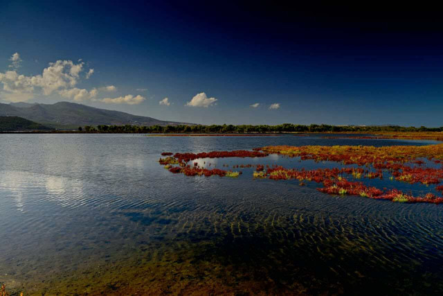 582177223-1771459066863741-2070468650124225771-n