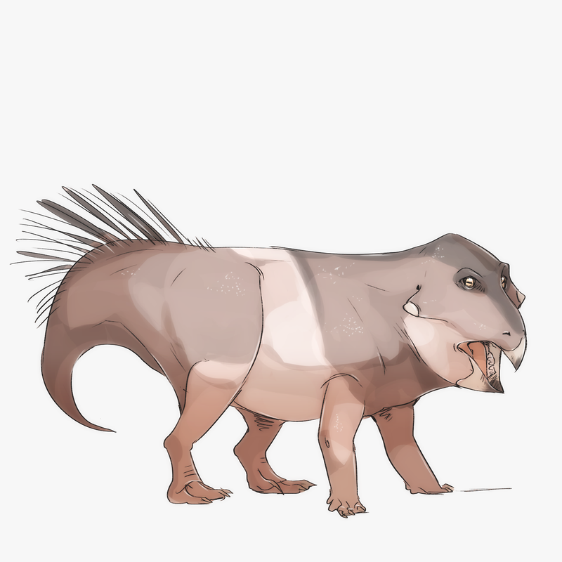 a8ff35a97ba7dd2c9f708634d9030f39