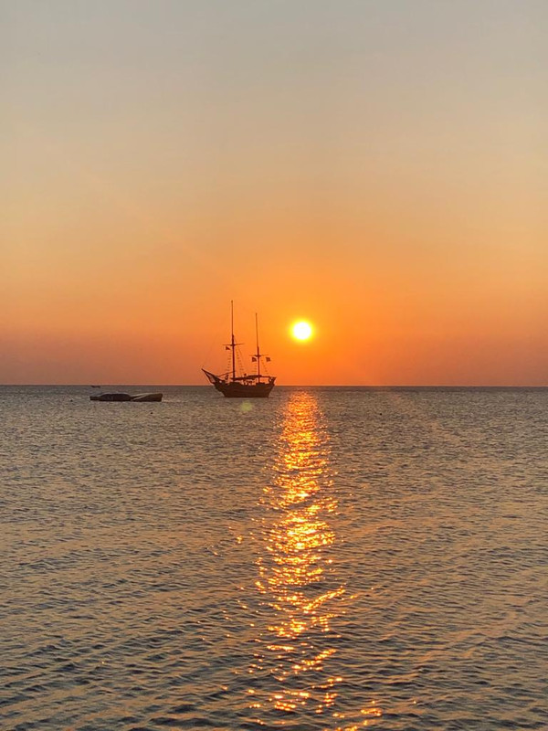 04DAD972-428C-4CF8-9279-7540E5CDA18B