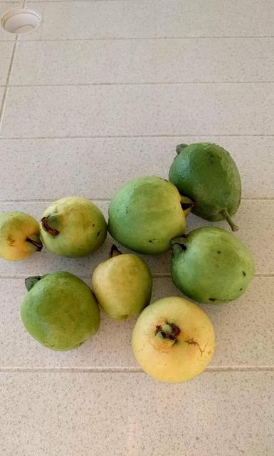 received_1648518391834233