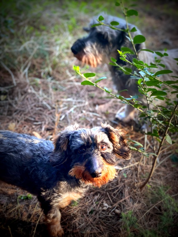 [Image: IMG-2219-1.jpg]