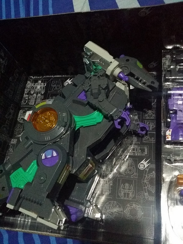 17974131598_6c6e091e05_c