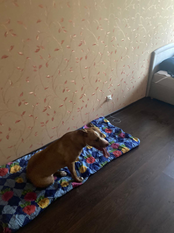 1F6CA546-373C-4D9A-A926-B360F48527A2