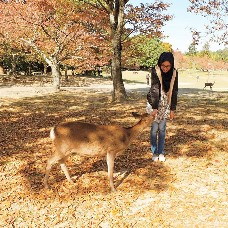 Kenrokuen Garden